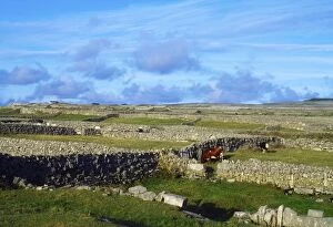 Images Dated 13th April 2016: Inishmore, Aran Islands, County Galway, Ireland