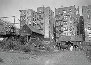 Huty28212 Prints: Inner City Farmer, Bronx
