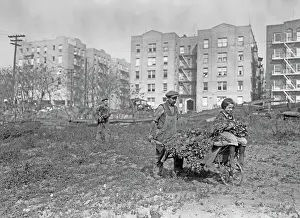 Inner City Farmer, Bronx