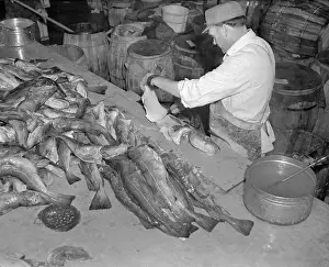 Community Prints: Interior with Employee Working in Fulton Fish Market