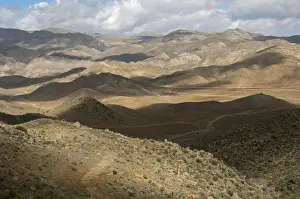 Euphorbiaceae Prints: Interplay of light and shadow on a hilly landscape