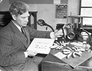 Pasadena Prints: Inventor Calvin B. Bridges Handling Chart on Hereditary Characteristics of a Fly