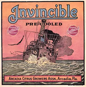 Florida Prints: Invincible