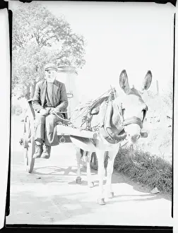 Milk Prints: Irish Boy Driving a Milk Cart