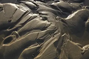 Lower Prints: Irregular structures in the mud flats