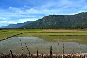 Images Dated 22nd December 2015: Irrigated Paddy field Champasak Laos