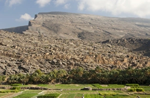 Oman Gallery: Irrigated vegetable gardens at the foot of the barren Al Hajar Mountains in Wadi Ghul