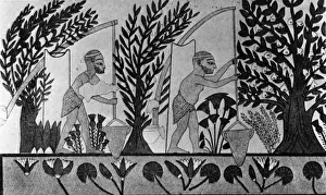 Civilisation Prints: Irrigation Methods