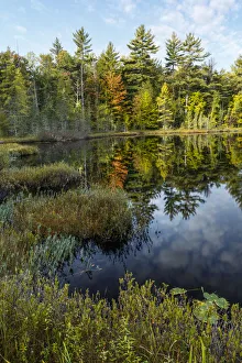 Images Dated 9th May 2016: Irwin Lake and bog, Hiawatha National Forest, Upper Peninsula of Michigan, USA