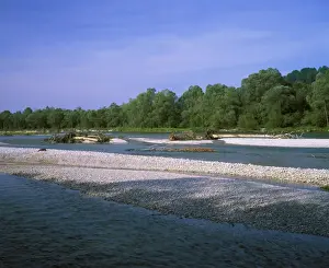 Fluvial Prints: Isar River, Isar Wetlands, Pupplinger Au