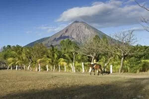 Volcano Collection: Isla de Ometepe