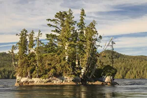 Island on river, Turret Rock, Nakwakto Rapids holding world record for fastest current of any navigable waterway