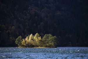 Stormy Gallery: Island in the stormy Eibsee Lake, autumn, Bavaria, Germany, Europe