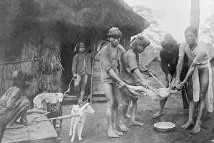 Philippines Prints: Islanders Preparing Dog for Feast