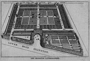 Islington Market