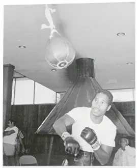 Ismael Laguna Punching Bag