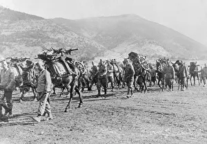 Artillery Prints: Italian Artillery Cross African Terrain