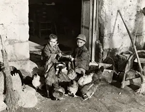 Huty32306 Prints: Italian Boys On A Farm