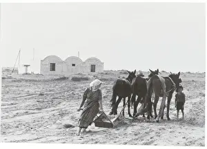 Italian Farm Family
