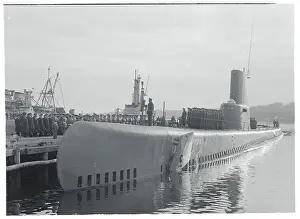 Italian Navies Participating in Navy