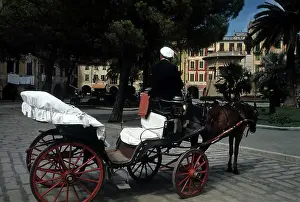 ITALIAN RIVIERA CAMOLGI, ITALY