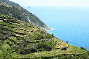 Italy, Cinque Terre