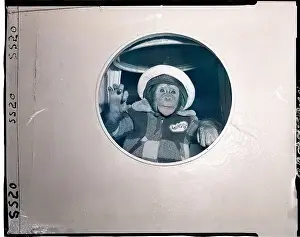 Dressed Prints: J. Fred Muggs Looking out the Window of a Ship