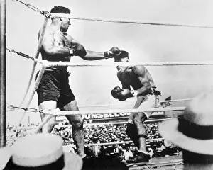 Jack Dempsey Boxing Jess Willard for Title