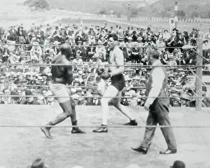 Jack Johnson and Jesse Willard in First Round of Fight in Havana