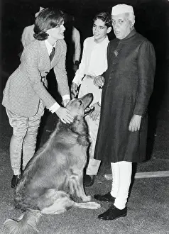 Jacqueline Kennedy Petting a Dog