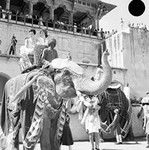 Jaipur Prints: Jacqueline Kennedy Riding an Elephant