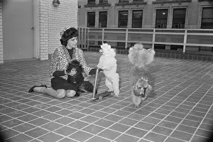 Scooter Prints: Jacqueline Susann And Her Poodles