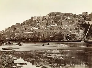 Jaffa