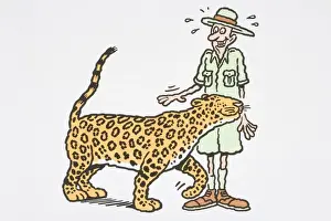 Big Cat Prints: Jaguar (Panthera onca) rubbing its head against safari tourist