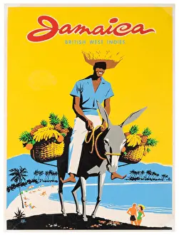 Jamaican Fruit Farmer Poster