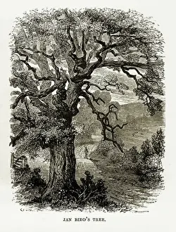 Prints of Very Rare, Beautifully Illustrated Antique Engraving of Jan Ridd's Tree, Exmoor, England Victorian Engraving, 1840. Source: Original edition from my own archives A Captivating Visual Journey Through Somerset's Nature and History: Jan Ridd's Tree, Exmoor, England Victorian Engraving, 1840
