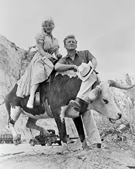 Gallup Prints: Jan Sterling Sitting on Oxen with Kirk Douglas Alongside