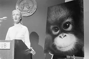 Press Conf Prints: Jane Goodall Speaking Before Poster