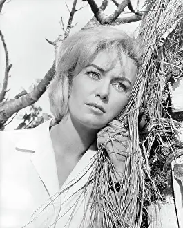 Janette Scott In Crack In The World