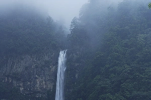 Freshness Collection: Japan, Wakayama Prefecture, Kumano Kodo, Nachi Falls