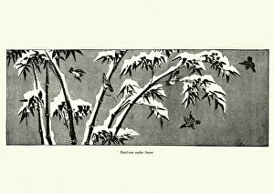 Bamboo Grove Gallery: Japanese Art, Bamboo under snow