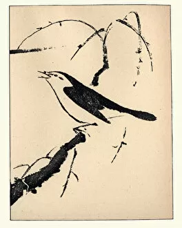 Oriental Style Woodblock Art Collection: Japanese Art, Bird by Shunboku