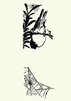 Spider Web Gallery: Japanese Art, Sketch of a Bird and spider