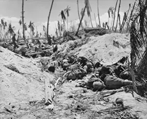 Battlefield Prints: Japanese Casualties