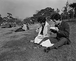Japanese Couple Enjoying Lunchtime Picnic