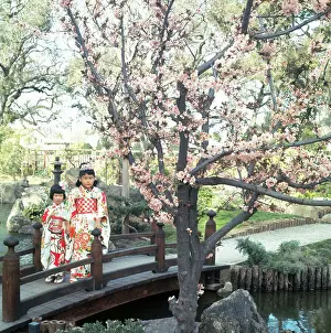 San Mateo Prints: Japanese Girls Standing on Bridge Next to Blossoming Trees