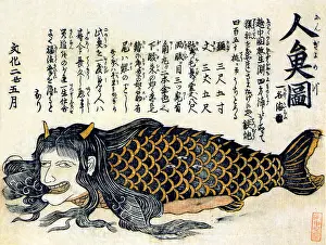 Japanese Prints: Japanese Mermaid
