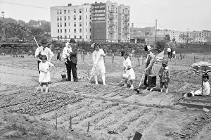 Apartment Prints: Japanese People Cultivating Plot in New York City
