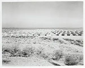 Desolate Prints: Japanese Relocation Camp in Arizona