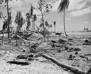 Japanese War Dead
